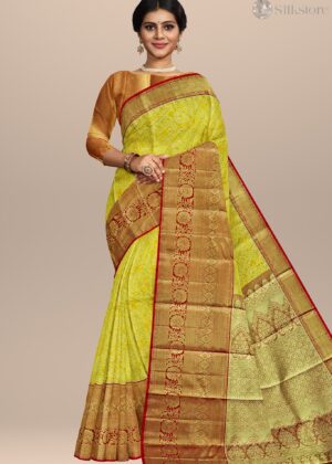 Royal Blush Golden Kanjivaram Silk Saree